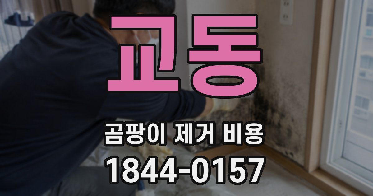 교동 곰팡이 제거 비용