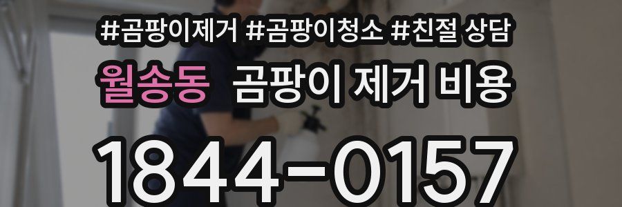 월송동 곰팡이 제거 비용