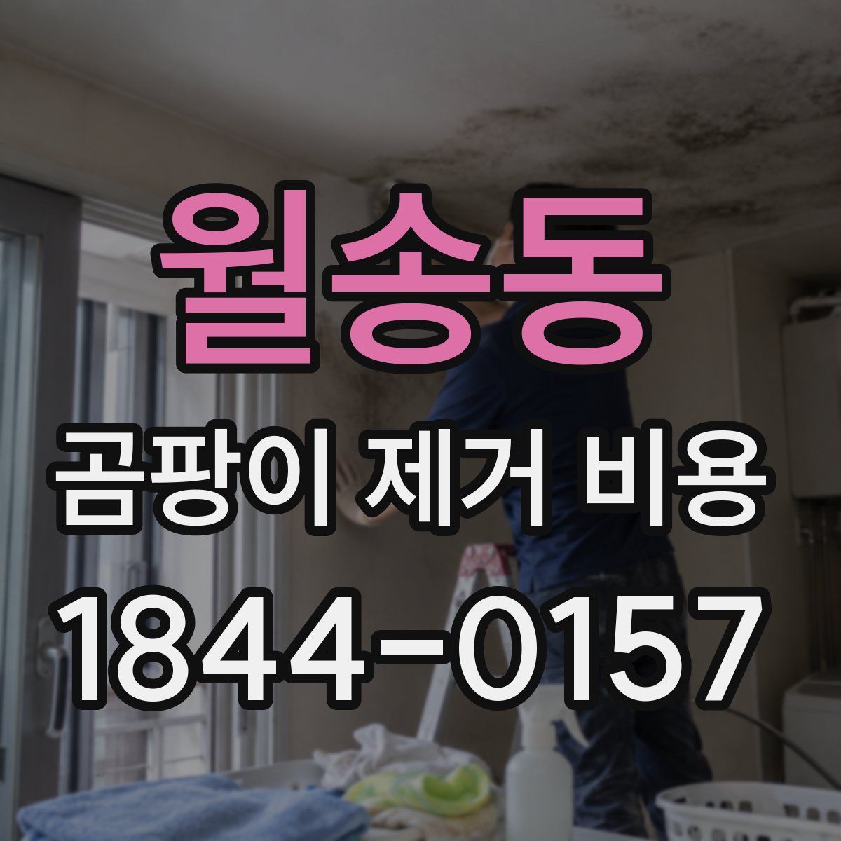 월송동 곰팡이 제거 비용