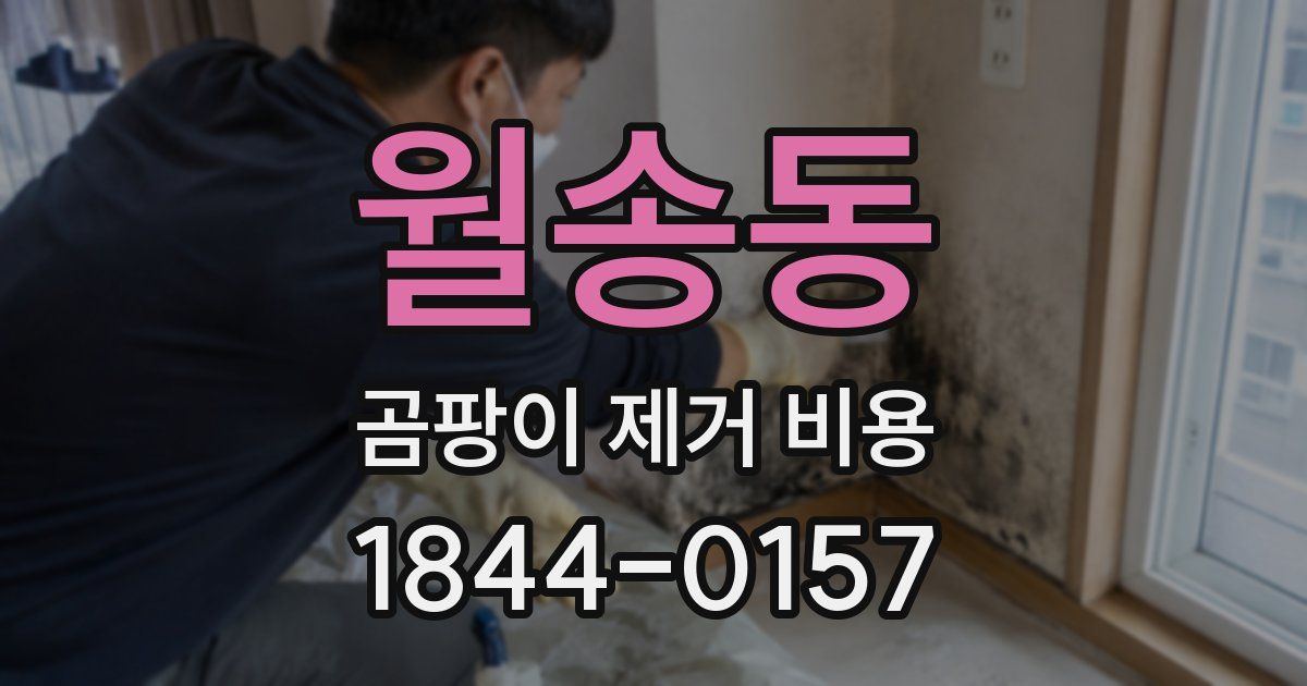 월송동 곰팡이 제거 비용