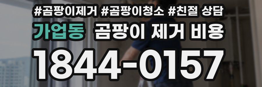 가업동 곰팡이 제거 비용