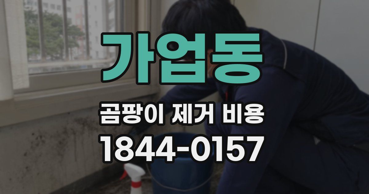 가업동 곰팡이 제거 비용