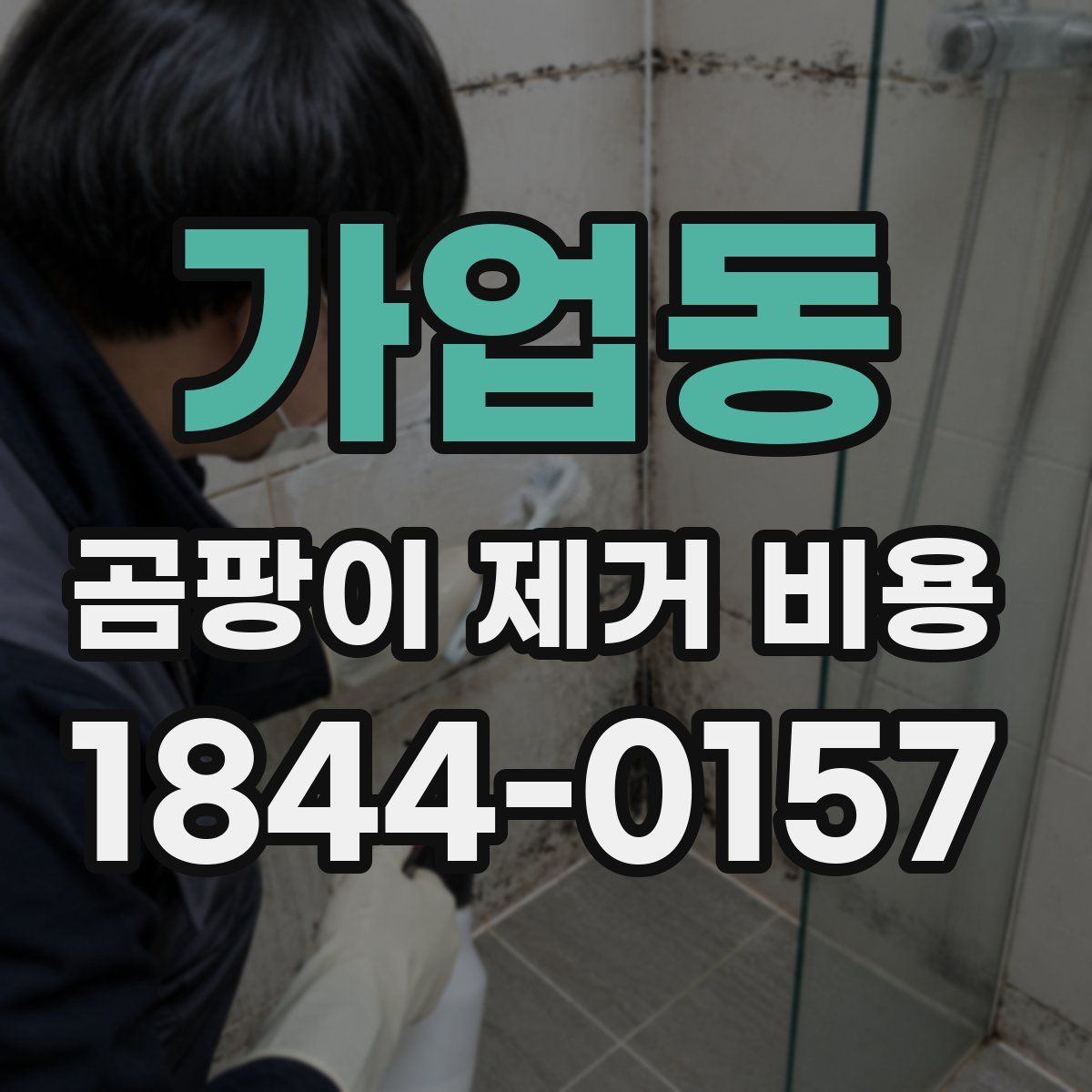가업동 곰팡이 제거 비용