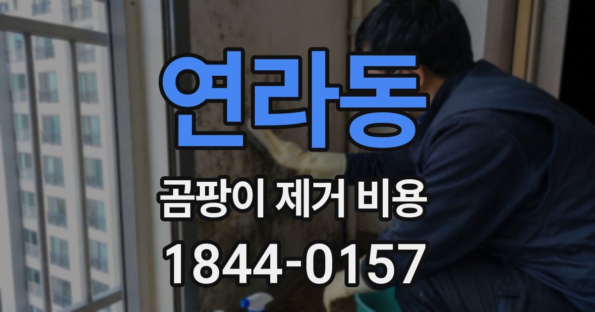 연라동 곰팡이 제거 비용