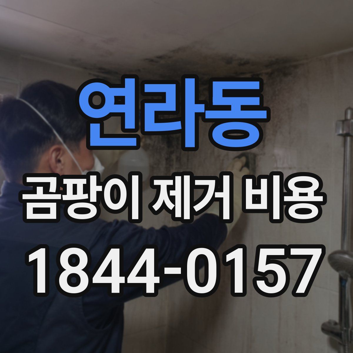 연라동 곰팡이 제거 비용