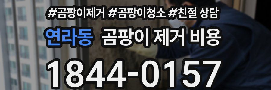연라동 곰팡이 제거 비용