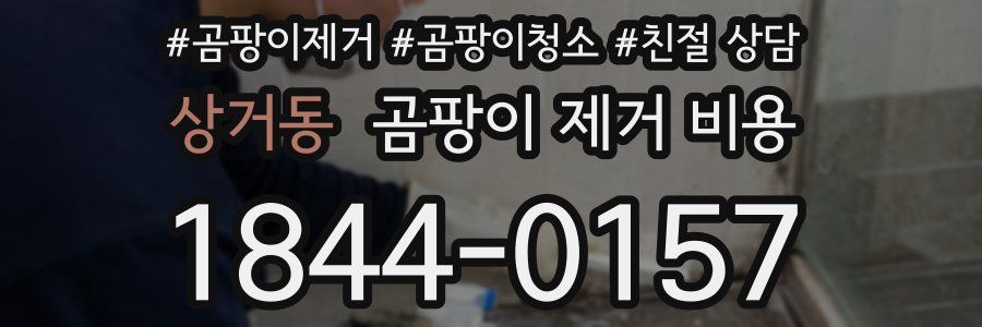 상거동 곰팡이 제거 비용