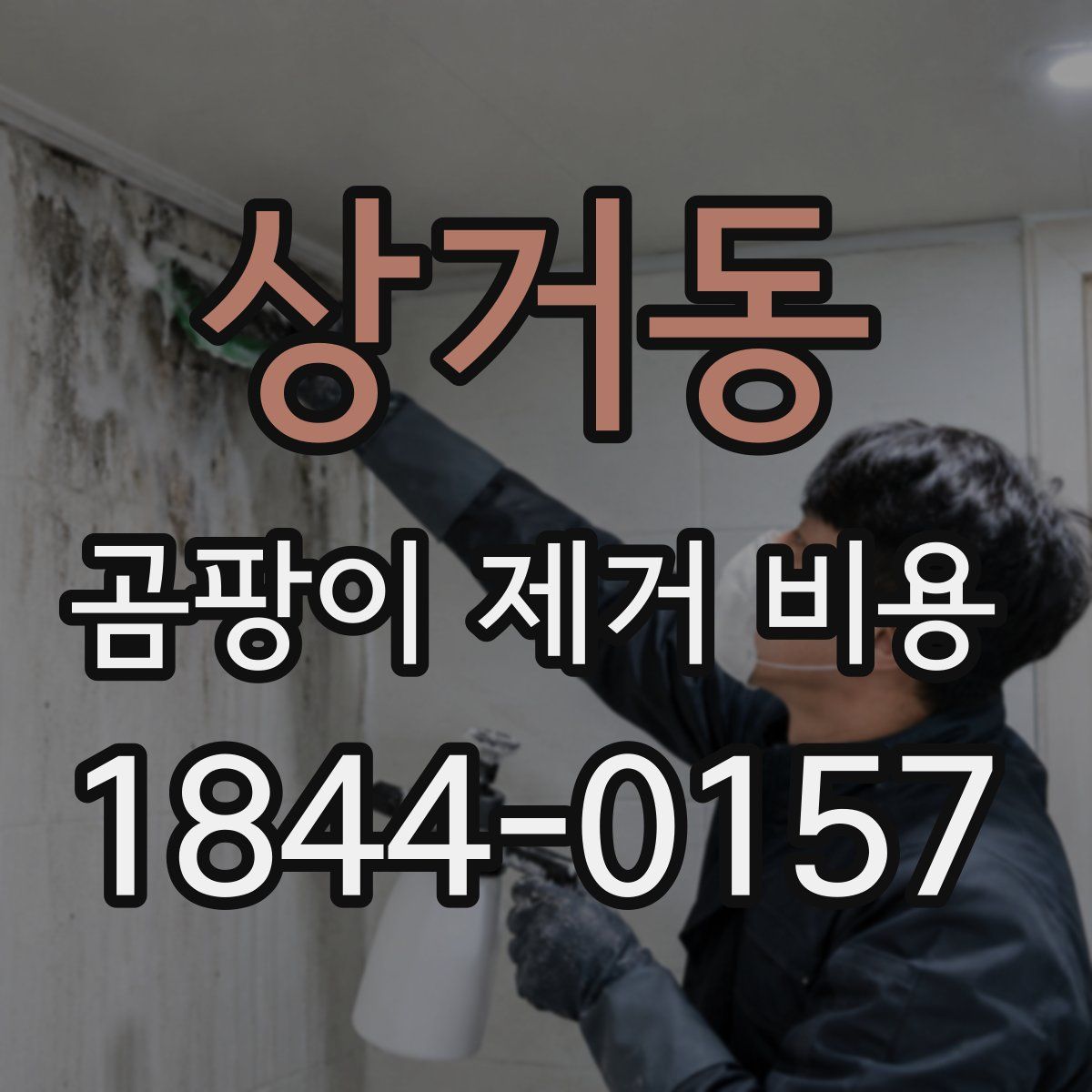 상거동 곰팡이 제거 비용