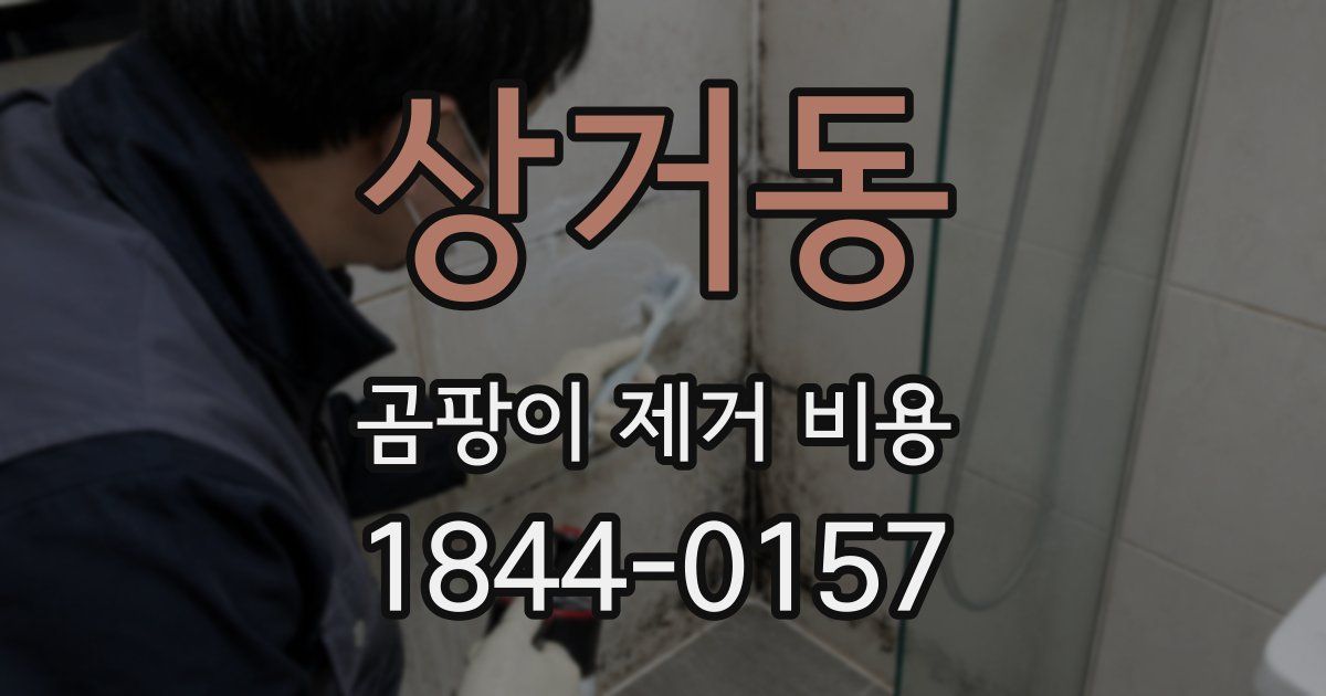 상거동 곰팡이 제거 비용