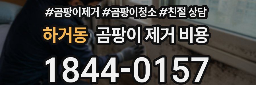하거동 곰팡이 제거 비용