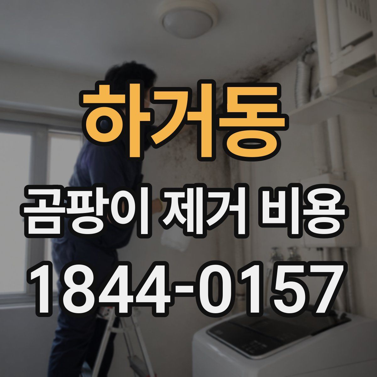 하거동 곰팡이 제거 비용