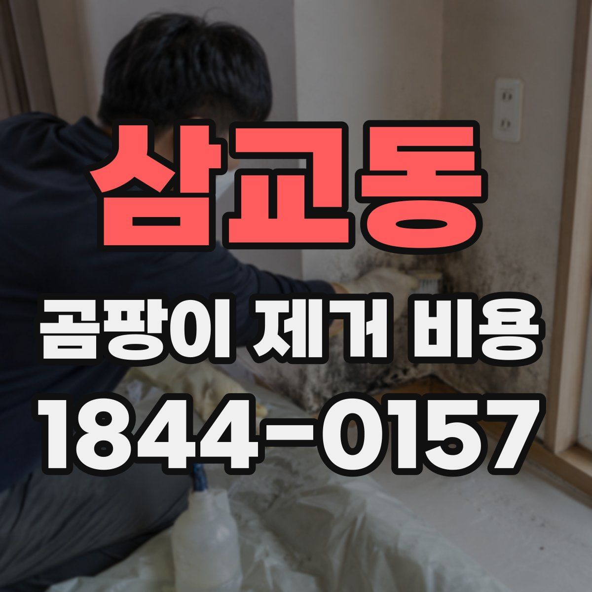 삼교동 곰팡이 제거 비용