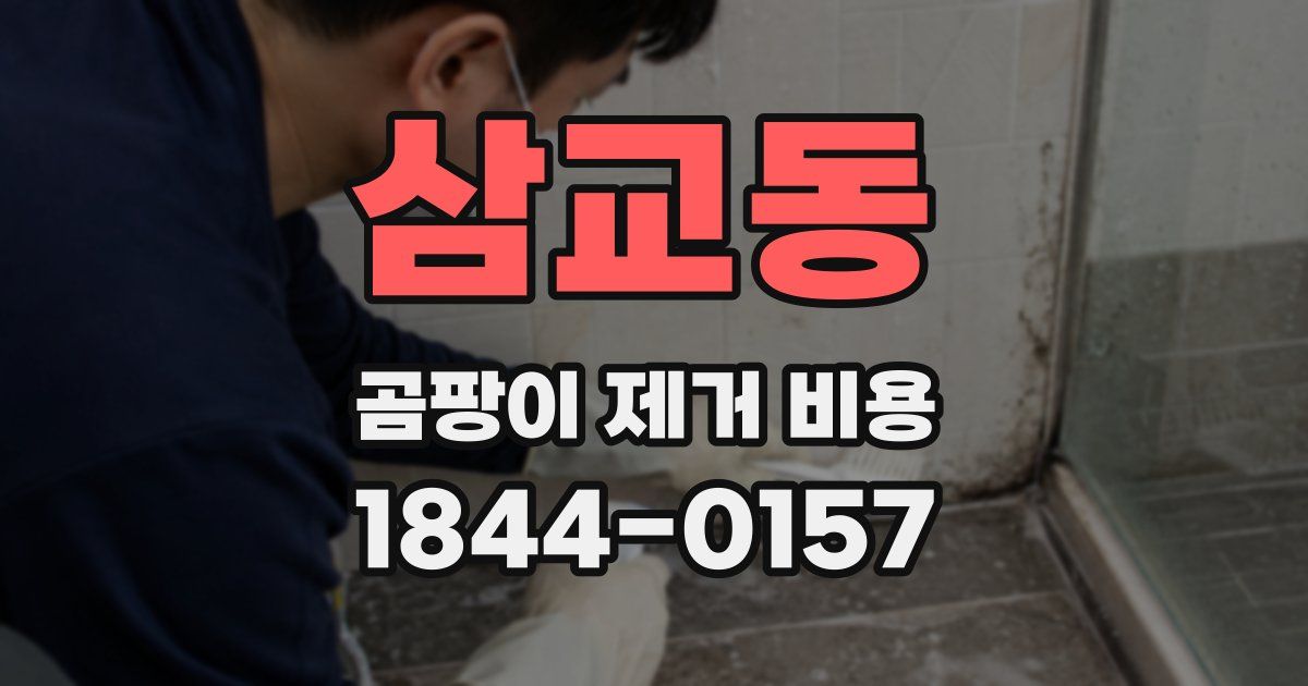 삼교동 곰팡이 제거 비용