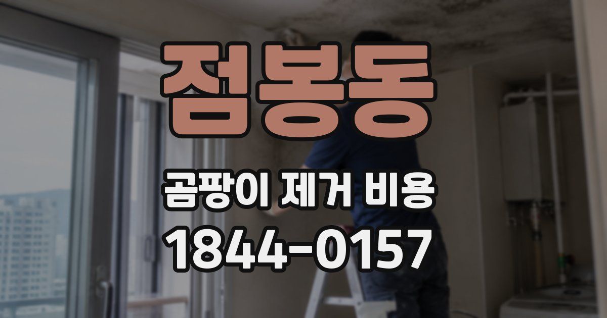 점봉동 곰팡이 제거 비용