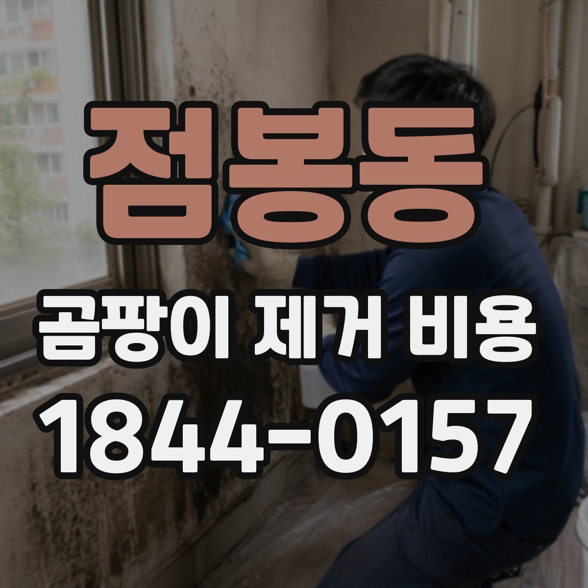 점봉동 곰팡이 제거 비용