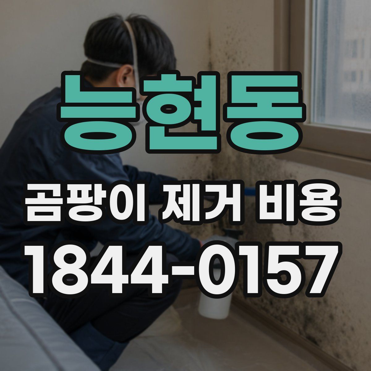 능현동 곰팡이 제거 비용