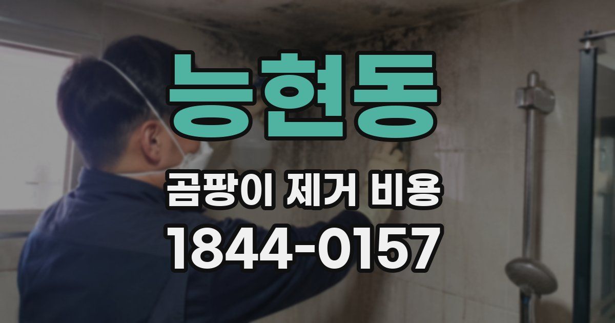 능현동 곰팡이 제거 비용