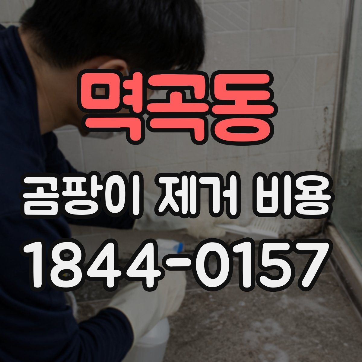 멱곡동 곰팡이 제거 비용 상담 시 현장 사진이 필요한 이유