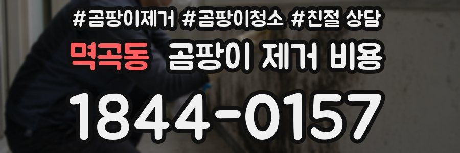 멱곡동 곰팡이 제거 비용