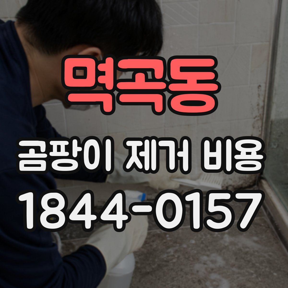 멱곡동 곰팡이 제거 비용