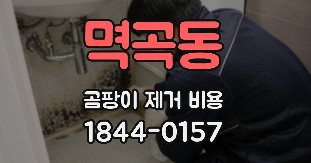 멱곡동 곰팡이 제거 비용