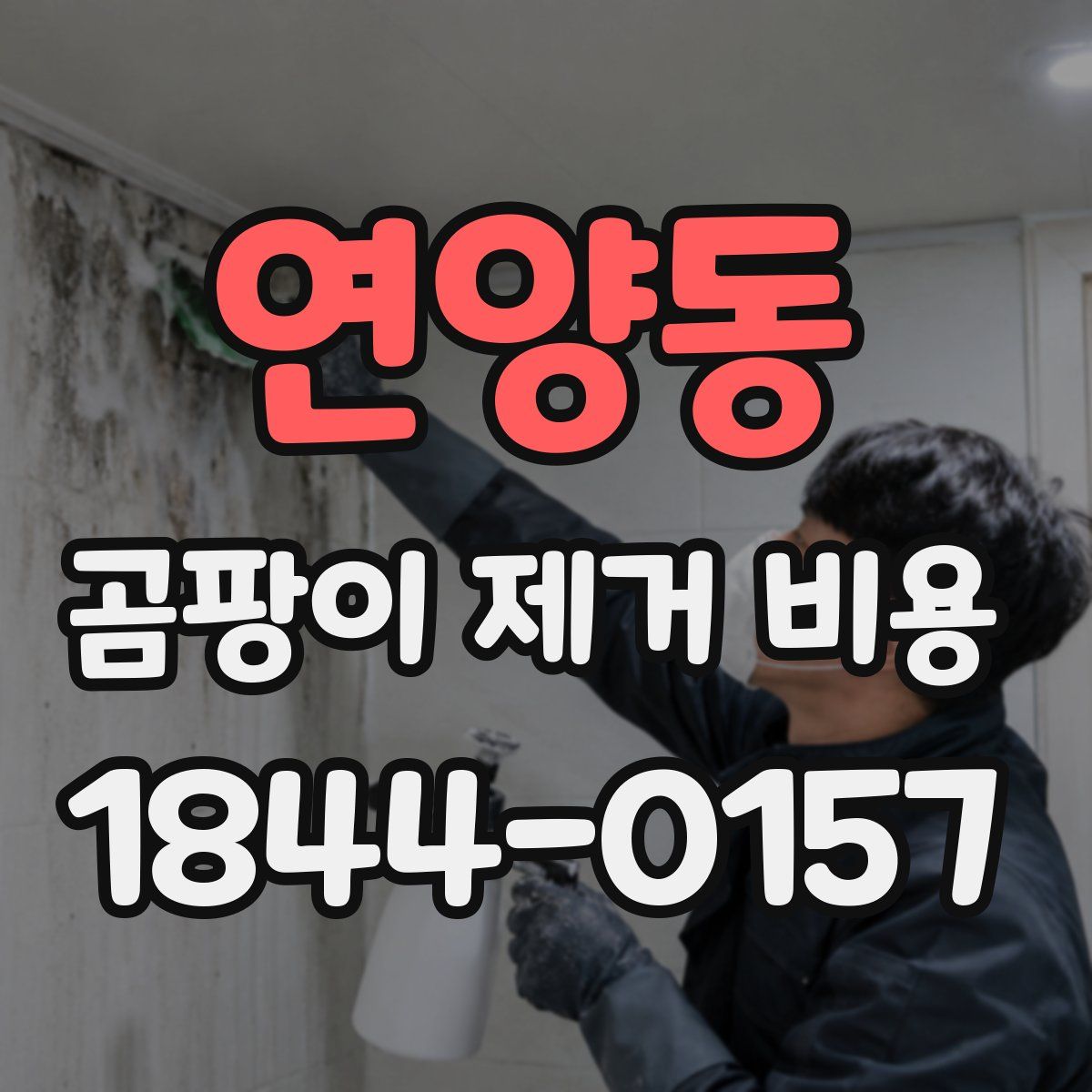 연양동 곰팡이 제거 비용