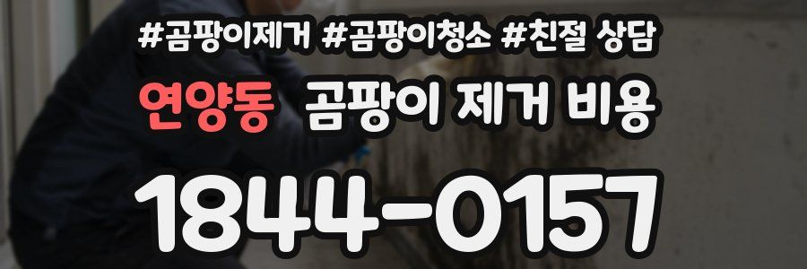연양동 곰팡이 제거 비용