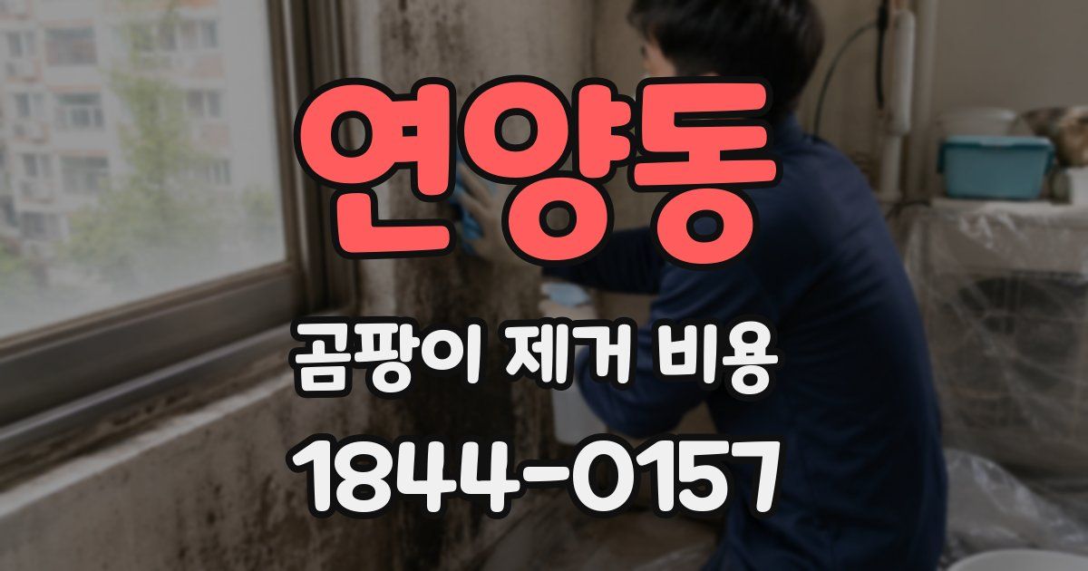 연양동 곰팡이 제거 비용