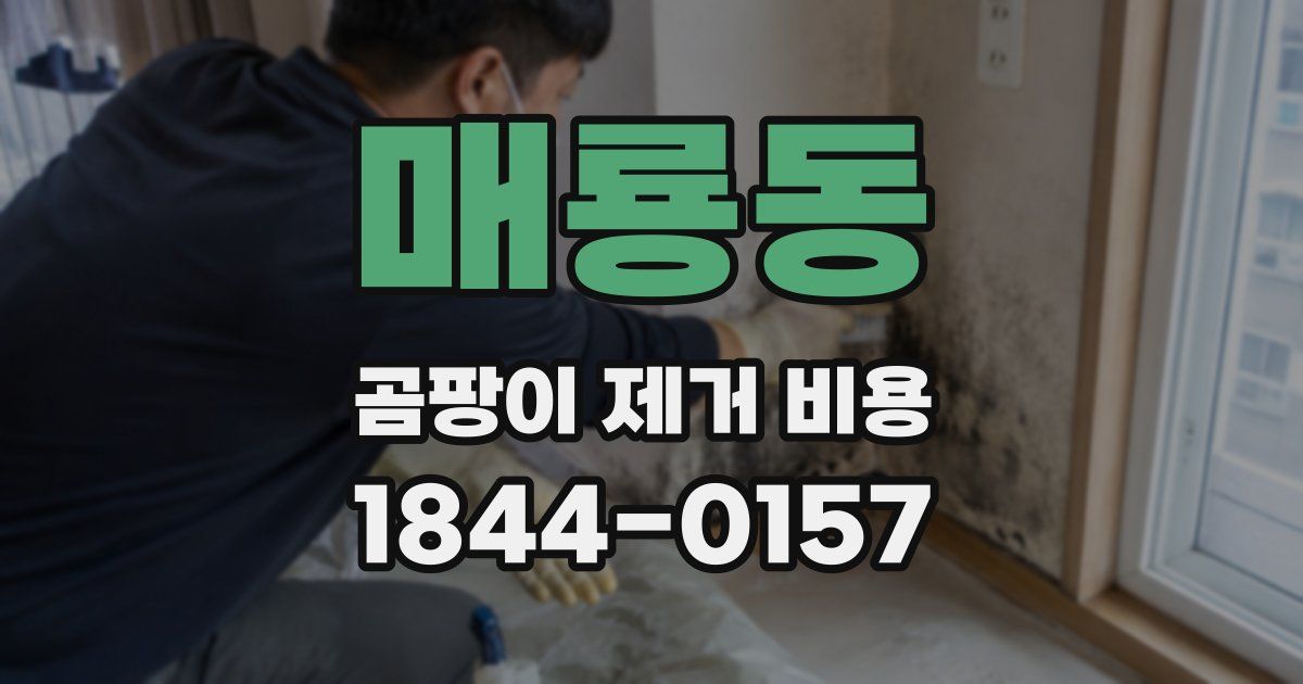 매룡동 곰팡이 제거 비용