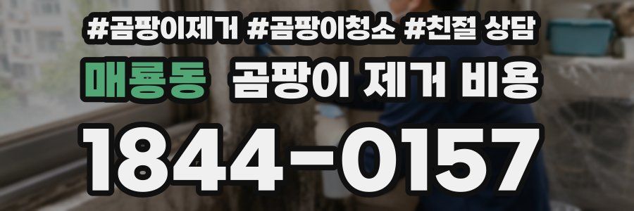매룡동 곰팡이 제거 비용