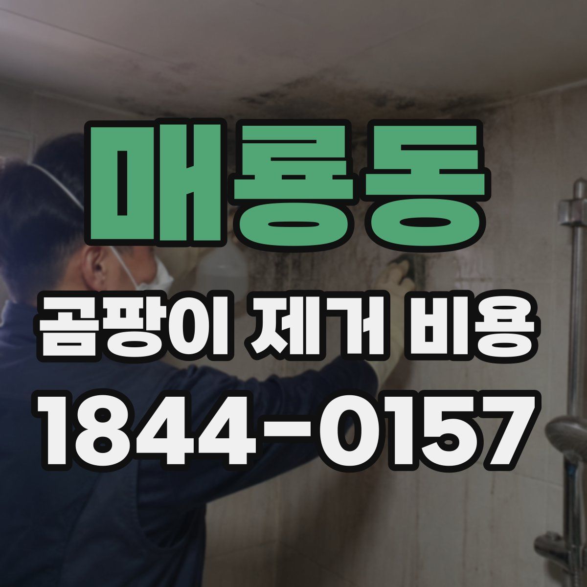 매룡동 곰팡이 제거 비용