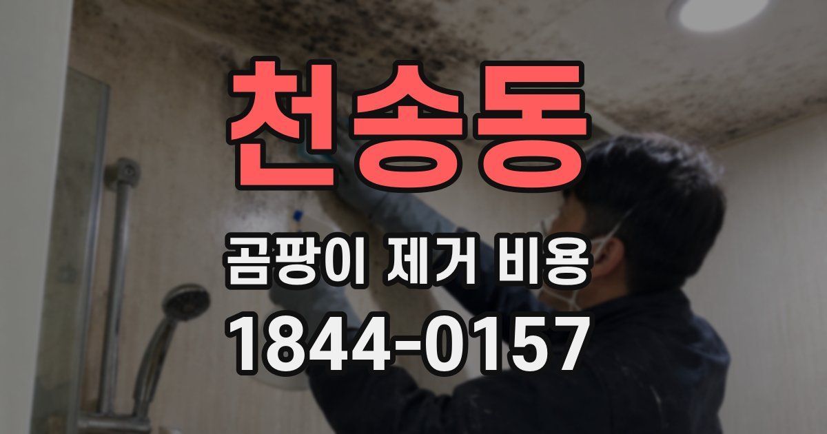 천송동 곰팡이 제거 비용