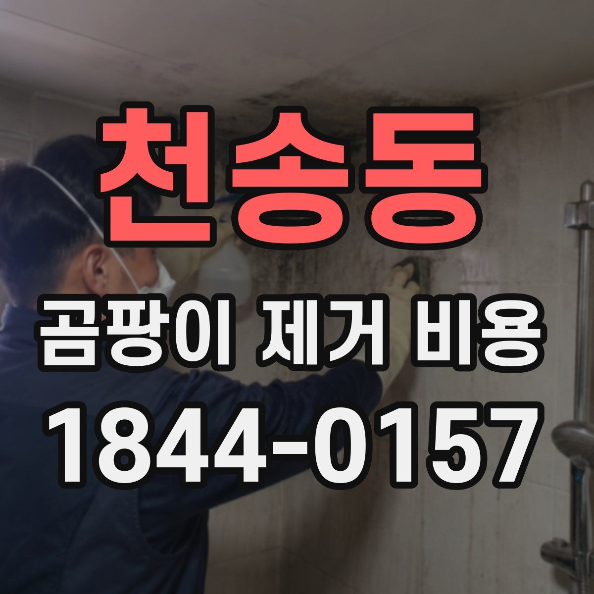 천송동 곰팡이 제거 비용
