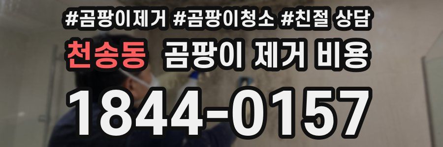 천송동 곰팡이 제거 비용