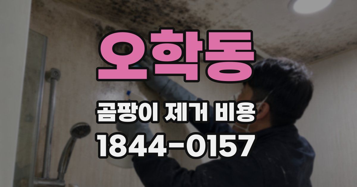 오학동 곰팡이 제거 비용