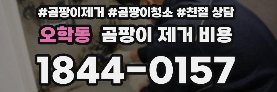 오학동 곰팡이 제거 비용