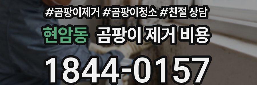 현암동 곰팡이 제거 비용