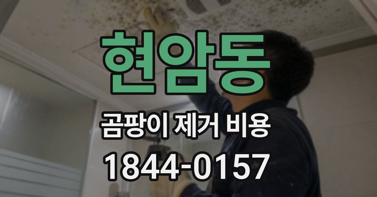현암동 곰팡이 제거 비용