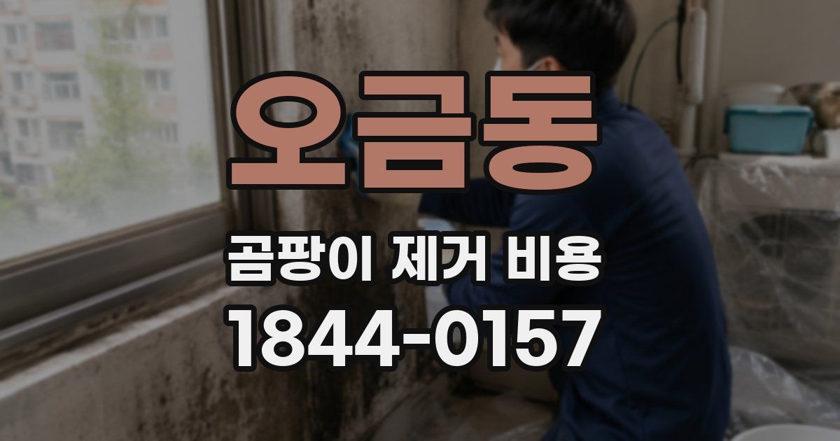 오금동 곰팡이 제거 비용