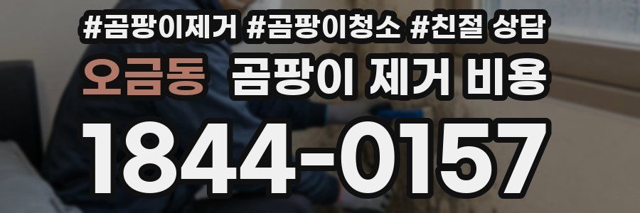 오금동 곰팡이 제거 비용