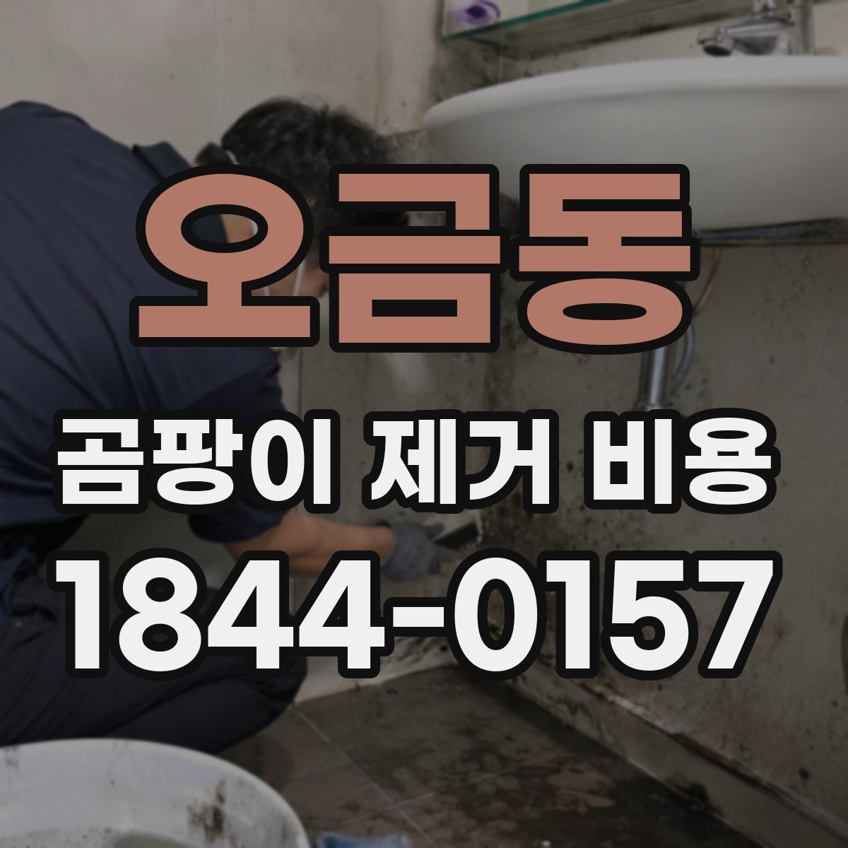 오금동 곰팡이 제거 비용