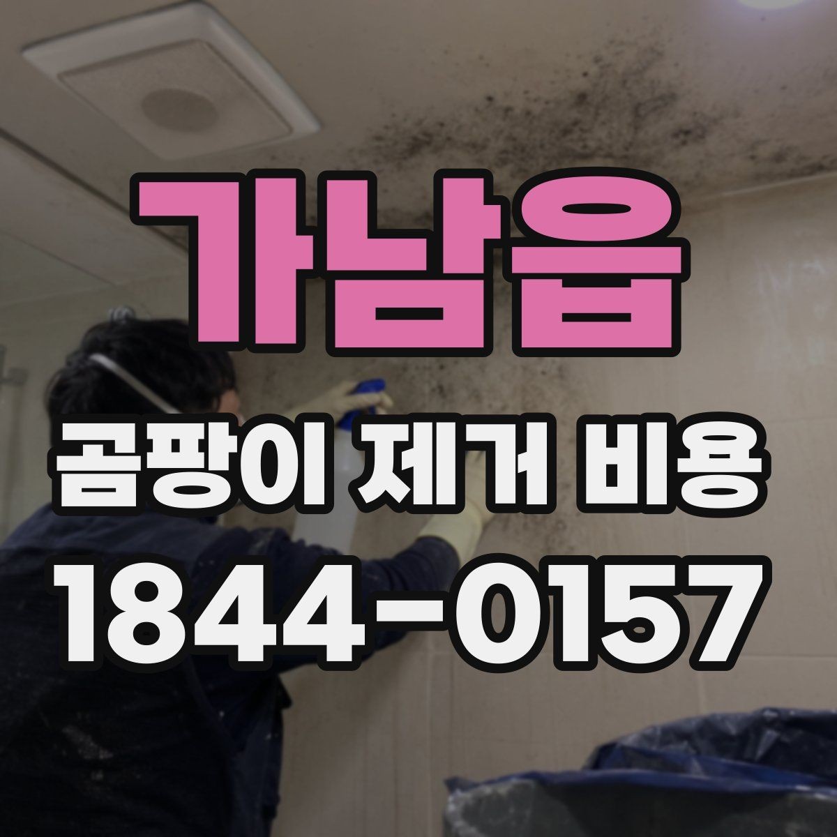 가남읍 곰팡이 제거 비용 알아볼 때 업체 선택 기준