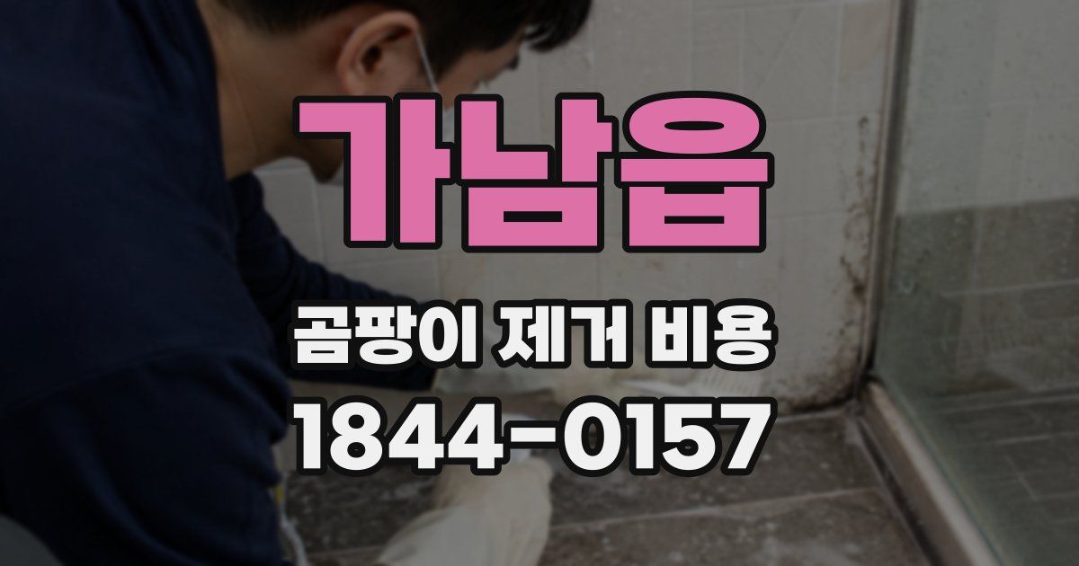 가남읍 곰팡이 제거 비용