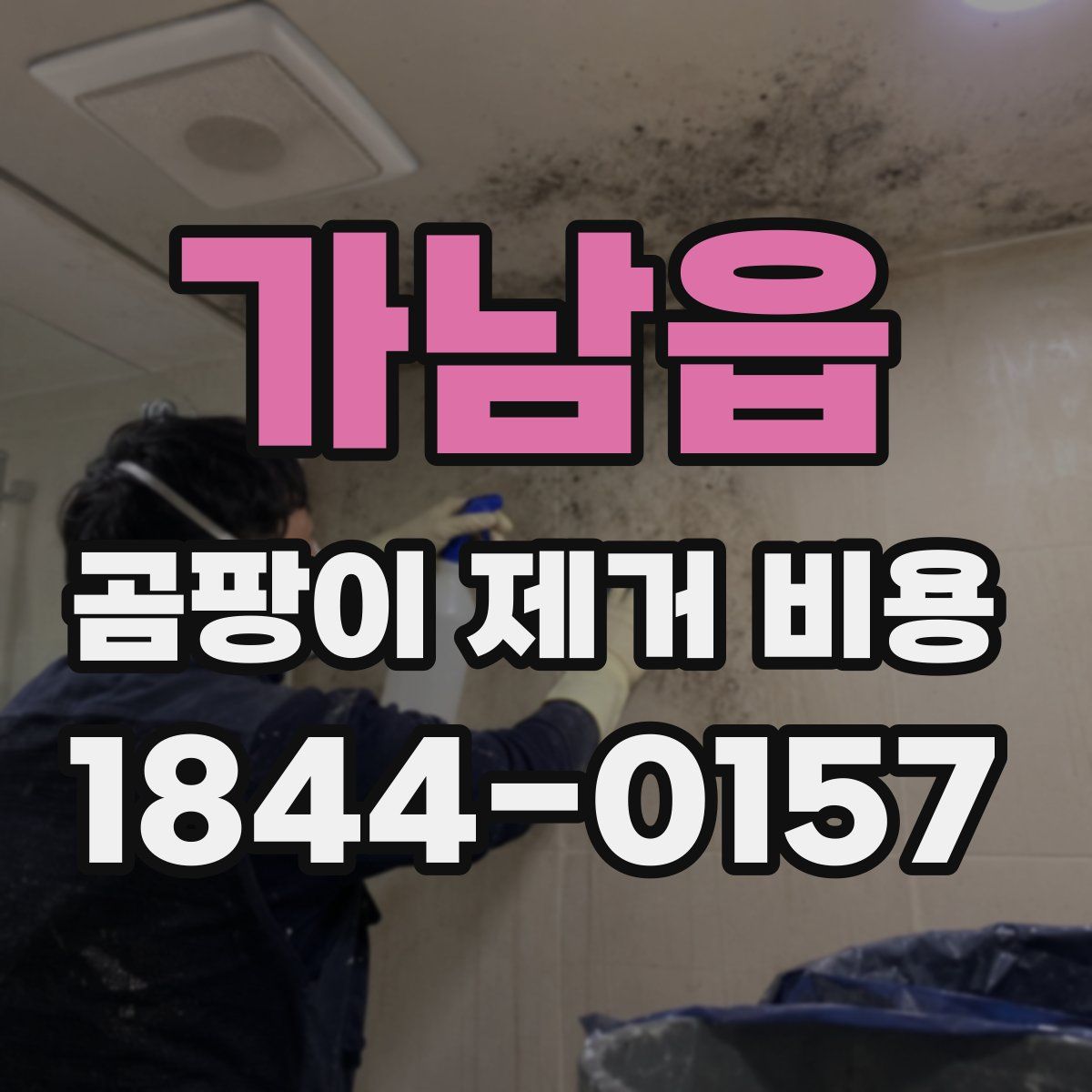가남읍 곰팡이 제거 비용