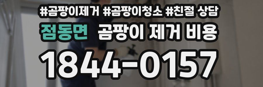 점동면 곰팡이 제거 비용