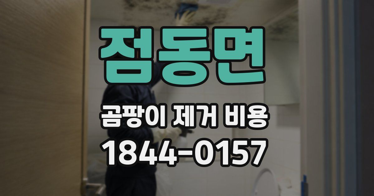 점동면 곰팡이 제거 비용