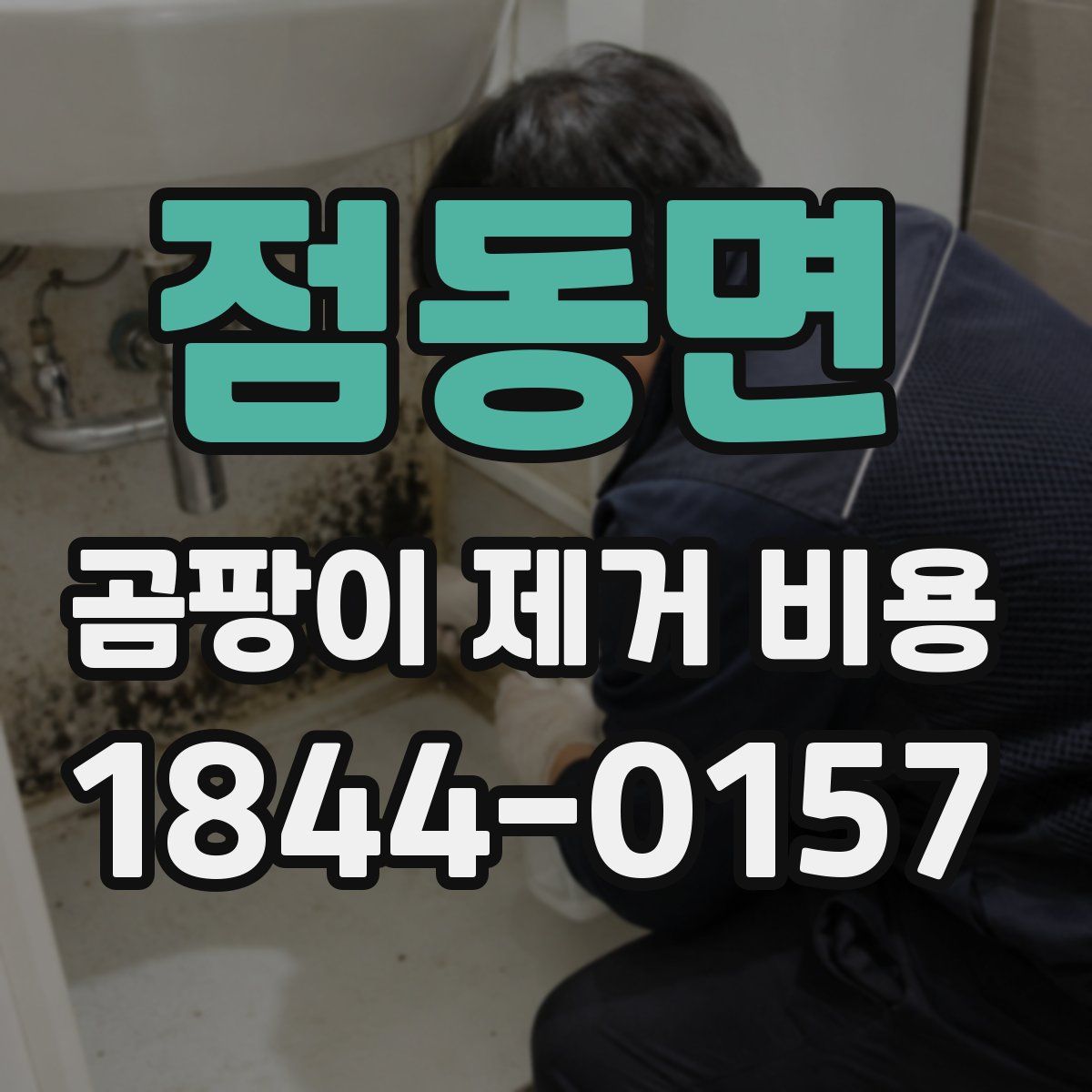 점동면 곰팡이 제거 비용