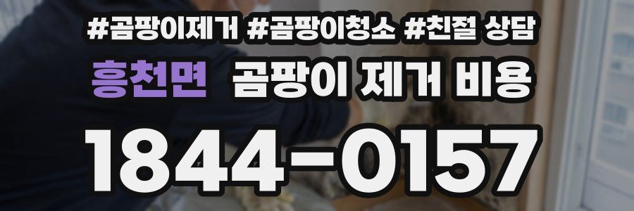 흥천면 곰팡이 제거 비용