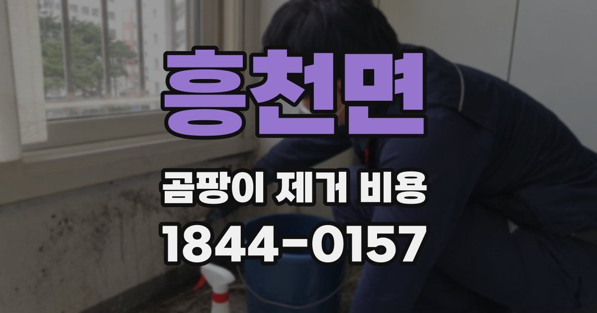 흥천면 곰팡이 제거 비용
