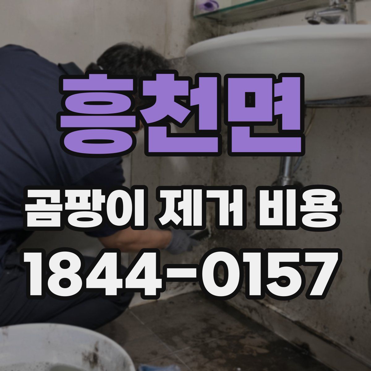 흥천면 곰팡이 제거 비용